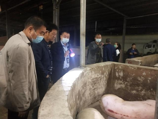 襄州区对生猪定点屠宰场进行节前突击检查